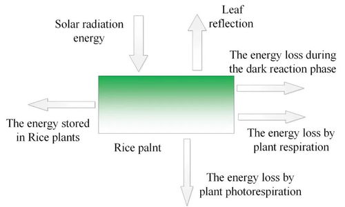 将相对论应用于热力学研究领域的首篇成果 太阳能与生物质能源头近品位互补