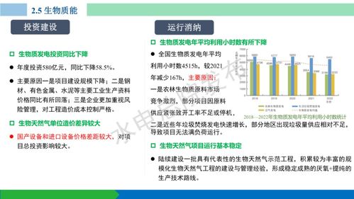 水电总院 中国可再生能源发展报告2022