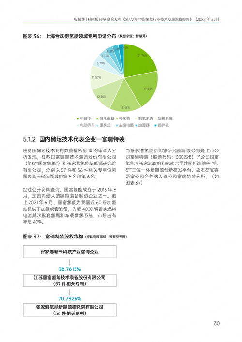 智慧芽 2022年中国氢能行业技术发展洞察报告 