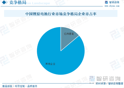 2022年中国锂原电池行业市场现状分析:下游需求强劲,促使行业良好快速发展[图]