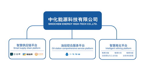 孙黎明 中化能源科技石化运力智能推荐平台的产品观